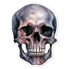 Human Skull, Vinyl Decal Sticker, Indoor Outdoor, 3 Sizes, 9976