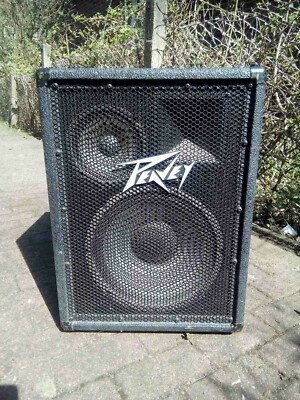 2 Aktiv Lautsprecher ''PEAVEY''