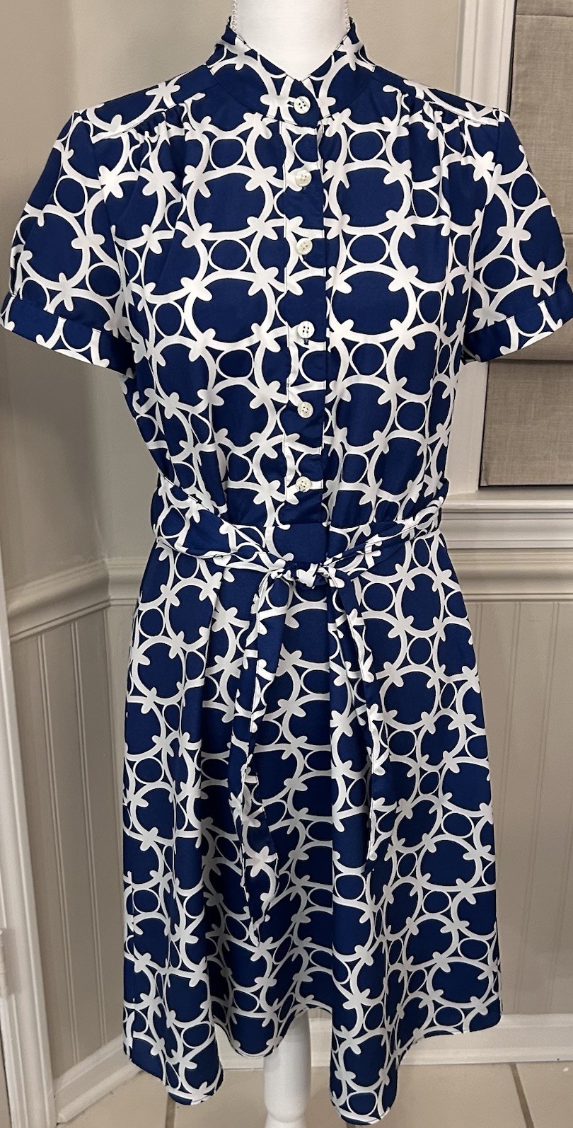 Ann Taylor Dress