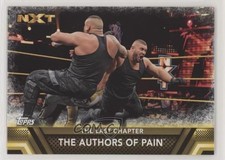 2017 WWE Then Now Forever Finishers and Signature Moves The Authors of Pain 1z6