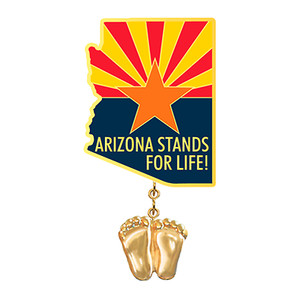 Authentic Precious Feet, 14K Gold Plated, Arizona Flag Jewelry, Lapel Pin