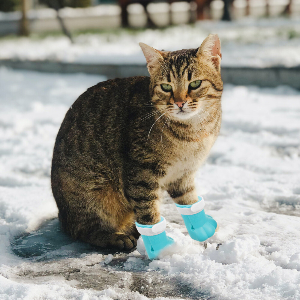 4 Pcs Anti Scratch Cat Shoes for Kittens Clean Antiscratch eBay