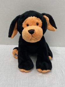 webkinz pumpkin puppy