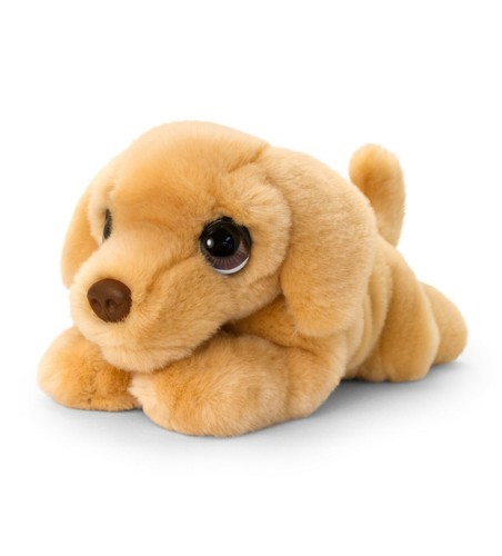 labrador dog teddy
