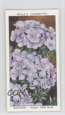 1939 Wills Garden Flowers by Richard Sudell Tobacco Eire (Irish) Dianthus 2w3