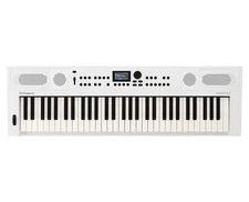 Roland GOKEYS5-WH 61-Key Music Creation Keyboard - White