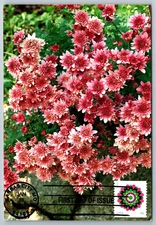 #4724 Kaleidoscope Flowers FDC Maxi Card