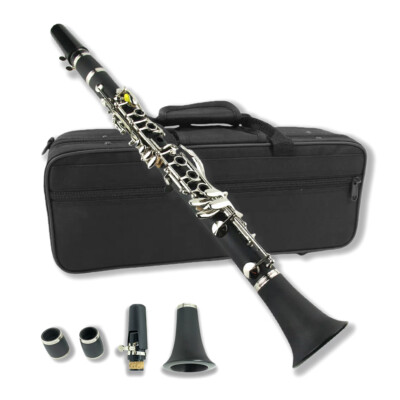 Professional Eb Key Clarinet Ebonite Body Clarinet E flat Good Sound with Case