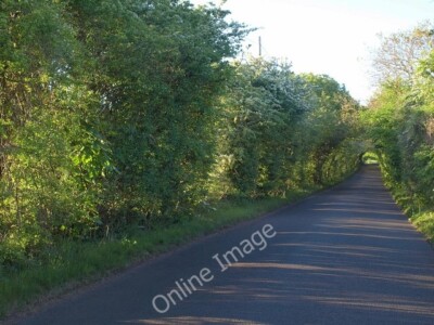 Photo 6x4 Backwell Hill Road Potters Hill Early morning sun shining throu c2010