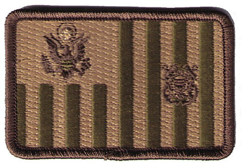 Ensign flag woodland 3"x2"h small rounded W5444 USCG Coast Guard patch - Picture 1 of 3