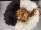 Bild 3 von 8