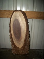 1 PC SMALL RUSTIC WALNUT SLAB AIR DRIED 4 YR LUMBER 1 1/4" 9K CLOCK TAXIDERMY