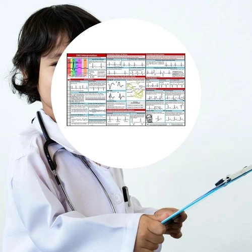 EKG Pocket Guide Präsentation Tools Display Lehrversorgung - Bild 7 von 7