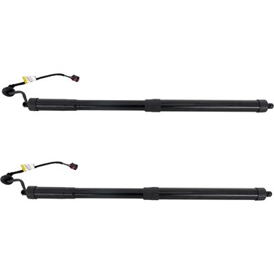Set of 2 Liftgate Lift Supports  Driver & Passenger Side Left Right Pair