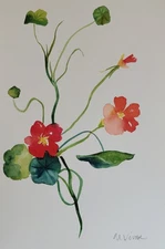 MONA VIVAR Original 12x9 Flower Botanical Impressionism Fine Art Painting