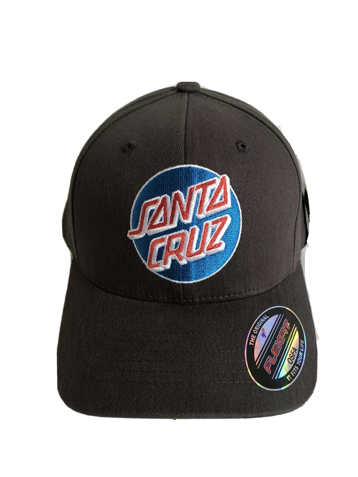 Santa Cruz Cap BNWT Grey Patch Logo 