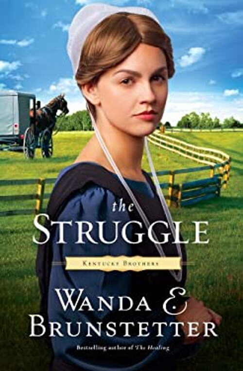 The Struggle Hardcover Wanda E. Brunstetter