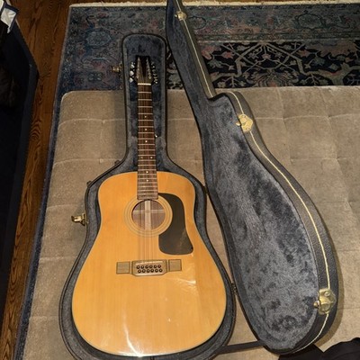 Washburn 12 string acoustic guitar D-12-12N w /case 