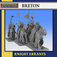 28mm 3d resin printed fantasy game figures in gray resin Knights Errants