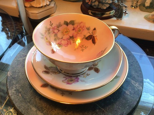 ANTIQUE VICTORIAN tea cup & Saucer Schumann Arzberg Wild Rose & Trinket Dish - Picture 14 of 14