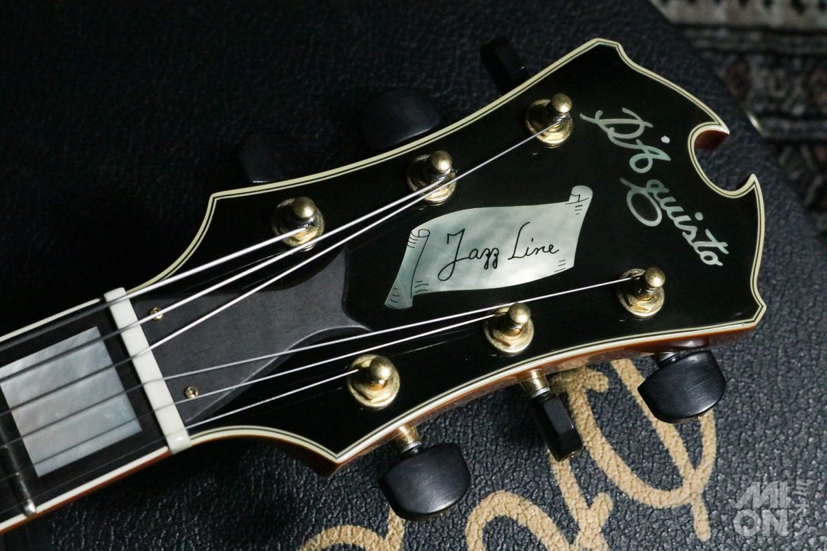D'aquisto DQ-JZ -JAZZ LINE- VLB Used Electric Guitar | eBay