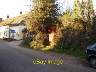Foto 6x4 Telefonzelle im Dorf Jettington von einer großen Stechpalme überwuchert c2012
