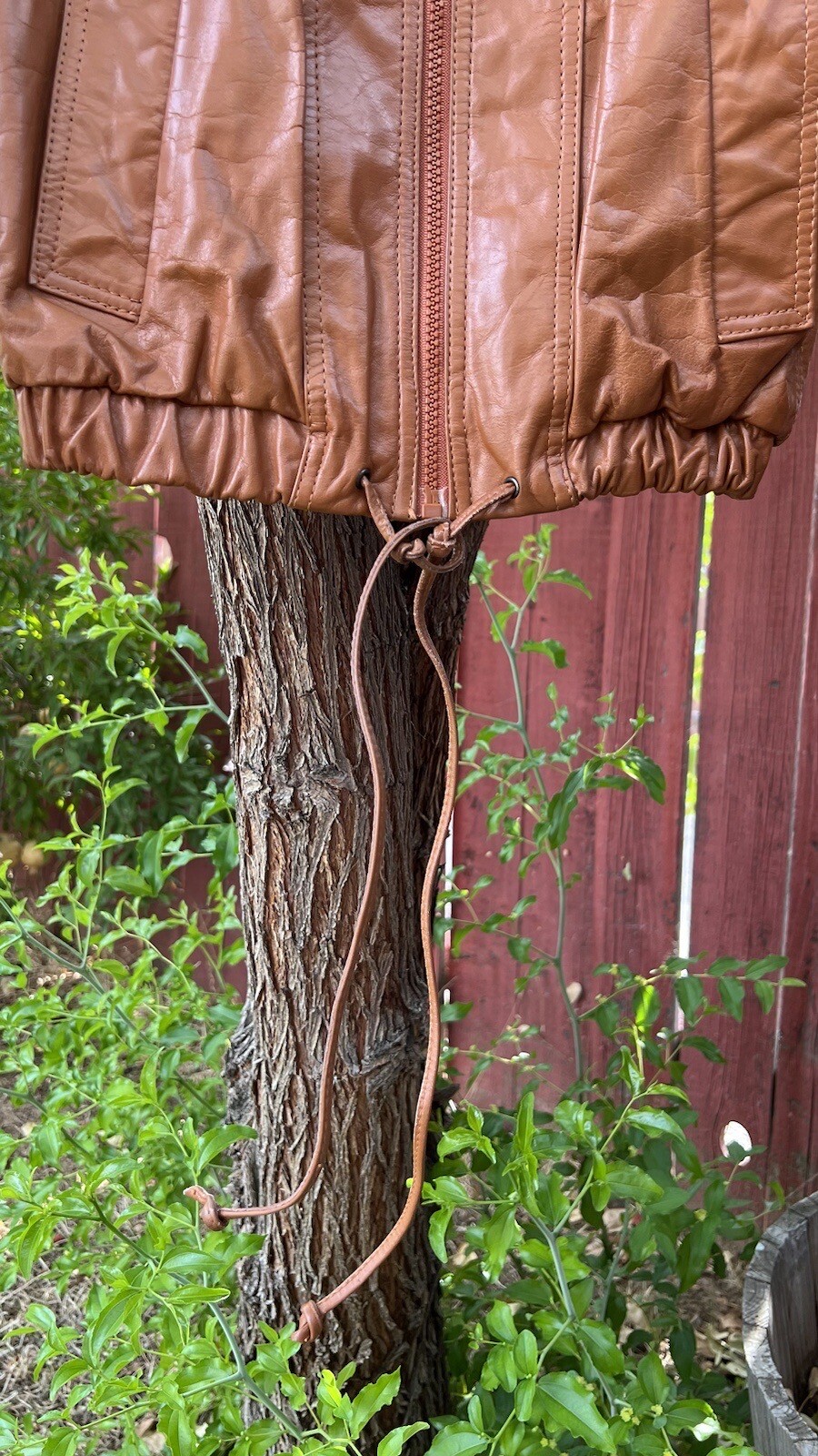 Picture 13 of 18