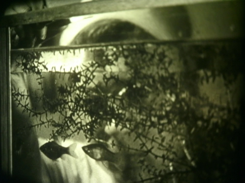 16mm Soviete education " Processes in a plant cell " Film b/w Movie Nature - Image 3 of 4
