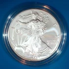 2007-W U.S. SILVER AMERICAN EAGLE - ORIGINAL BOX & COA - BURNISHED /UNCIRCULATED