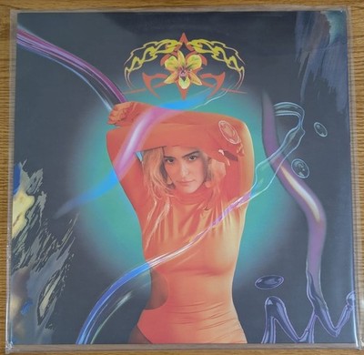 JOYEUR   HOW TO LOVE YOURSELF AND NOT DESTROY EVERYTHING - VINYL LP - R52