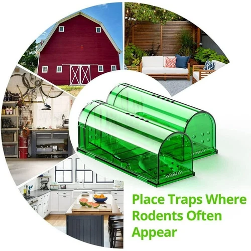 The Best Selling Mouse Traps - 2 Pack Live Catch and Release Mouse-trap - Picture 11 of 12