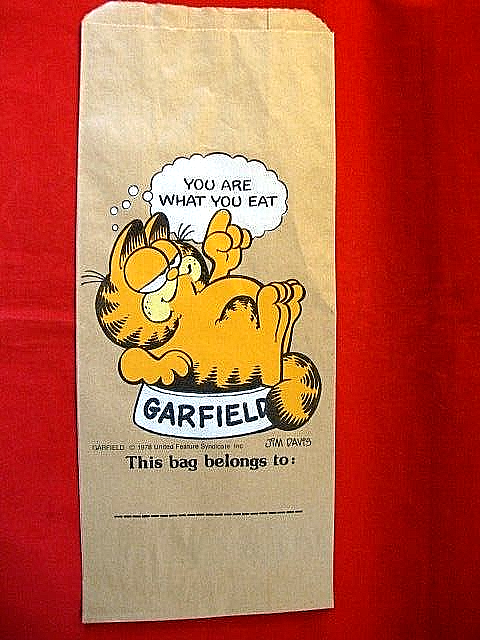Vintage 1978 Garfield the Cat Paper Lunch Bag -Jim Davis Cartoon