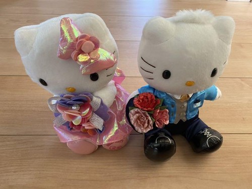 Sanrio Hello Kitty Daniel Wedding Doll Plush Toy Set Flower Dress Japan - Picture 8 of 11