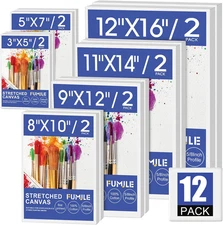 Stretched Canvas for Painting, Multi 12 Pack, Sizes 3X5 to 12X16, Primed