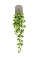 Artplants Kunst Philodendron HäNger Ruesca Auf Steckstab, 90Cm
