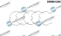Dr.Motor Automotive HaltebüGel Lader FüR Renault Master III Kasten 2.3 Dci
