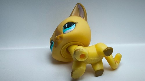 Littlest Pet Shop # 886 Shorthair cat Chat européen Authentic LPS -142 - Imagen 8 de 8