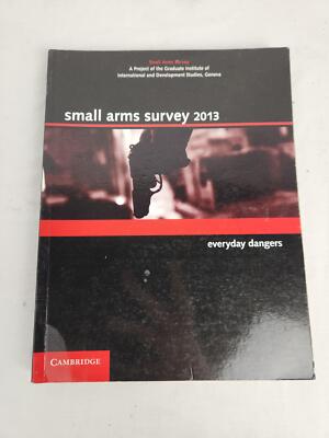 Small Arms Survey 2013 Everyday Dangers
