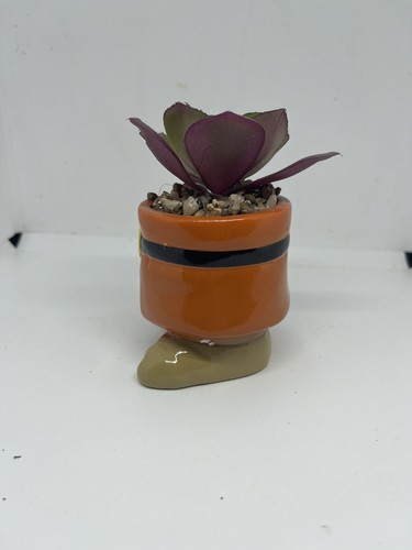 Disney Doc Faux Succulent Terrarium Plant NWT 4 1/2” Snow White & The 7 Dwarfs - Picture 2 of 6
