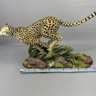 Picture 17 of 22