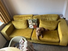 darcy velvet sofa in mustard