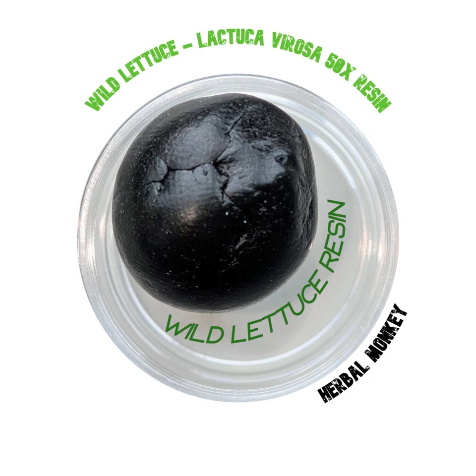 HERBALMONKEY Wild Lettuce Soft Resin 50X | Lactuca Virosa