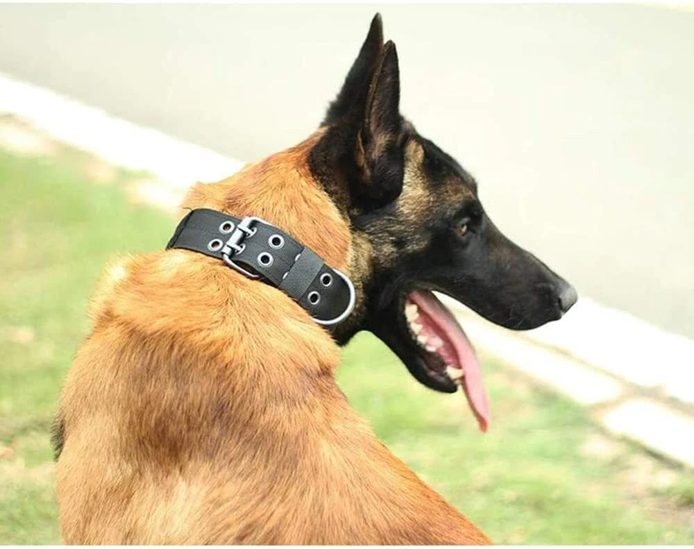 Canine clearance tactical gear