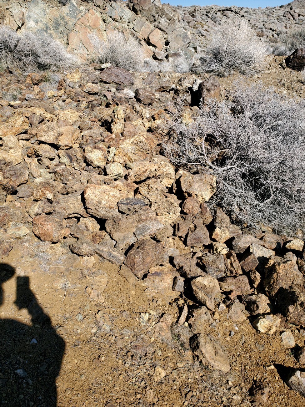 Steiner Mine near Lovelock Nevada Silver Gold Mining Claim with Big