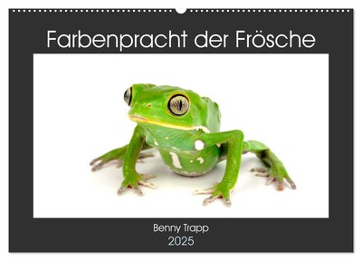 Farbenpracht der Frösche (Wandkalender 2025 DIN A2 quer), CALVENDO Monatskalende