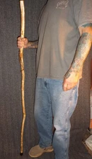 Tennessee Walking Stick- Wood Hiking Stick Staff Hike Pole Hand Carved Cane #92