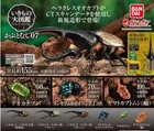 The Diversity of Life on Earth Beetle Vol. 07 Figure Bandai Capsule Toy Gashapon