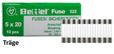 10x Feinsicherung Glas G Sicherung 5x20mm T Glassicherung träge G-Sicherung 250V