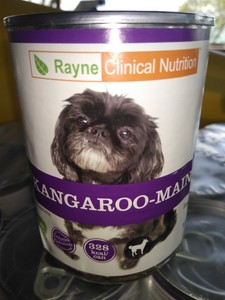 rayne dog food price