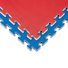 Martial Arts Mats 40"X40"